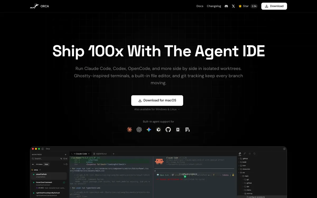 Orca official website and landing page preview