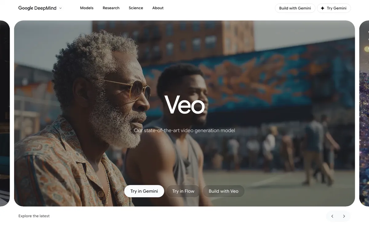 Veo official website and landing page preview
